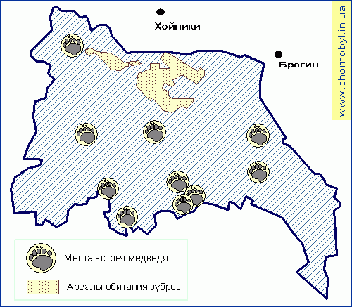 Места обитания медведей карта