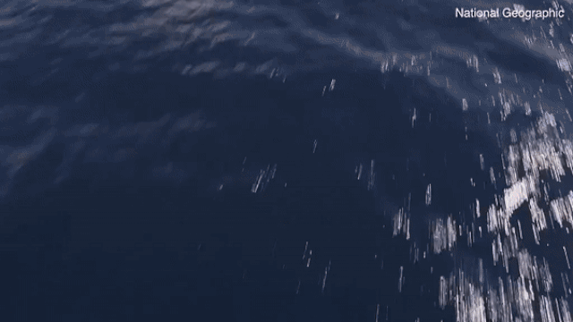 Реконструкция падения MH370 Реконструкция падения MH370