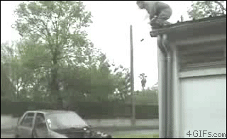 Слабоумие и отвага. Полный писец