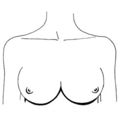 Форма груди и женский характер