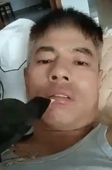Домашний зубной врач Домашний зубной врач