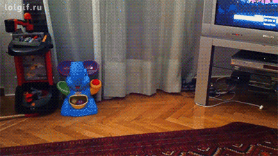 Котониндзя. Прикольные истории