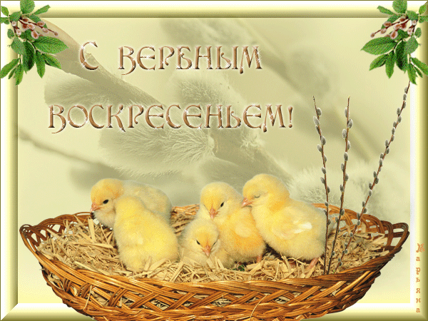 http://bestgif.ru/_ph/27/2/655320350.gif