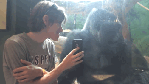 Jelani then gets curious about the photos. Perhaps they're peeping a celebrity gorilla calendar shoot or some hot Tinder profiles.