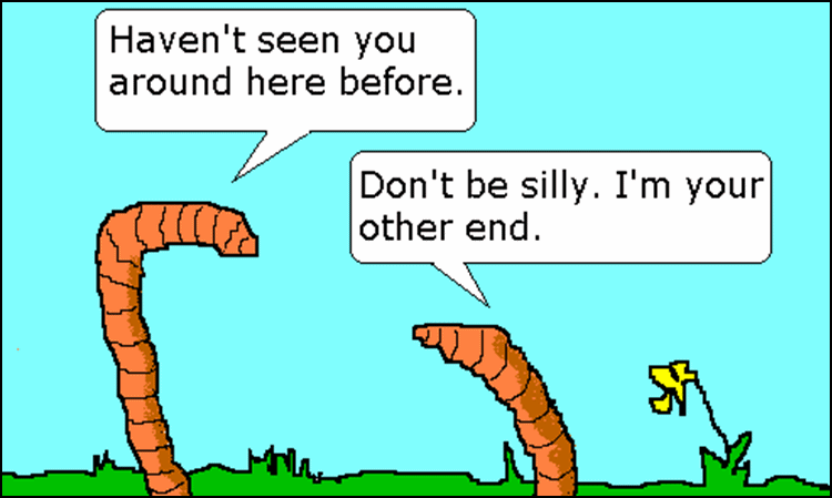 8-Worms