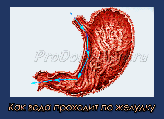http://golbis.com/wp-content/uploads/2016/02/14556581874n8kg.gif