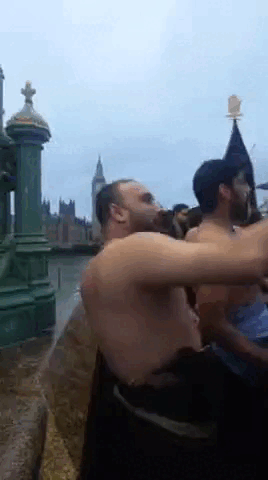 Видео: Telegram ZERGULIO