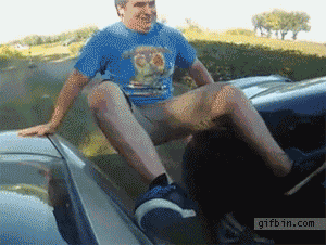 Возможные номинанты на премию Дарвина (30 гифок)