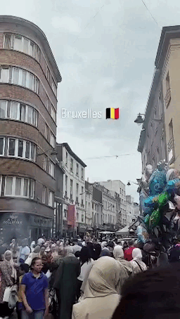 Видео: Telegram ZERGULIO