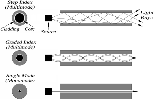 fibertypes