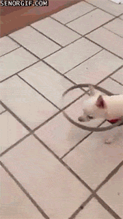 Классные гифки (25 гифок) Классные гифки (25 гифок)