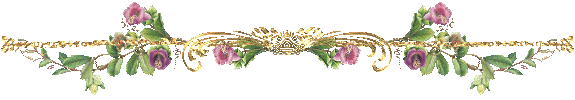 3241851_6278208c7de9 (575x100, 17Kb)