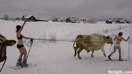 Люди, которые отдыхают зимой лучше, чем ты зима, люди, отдых