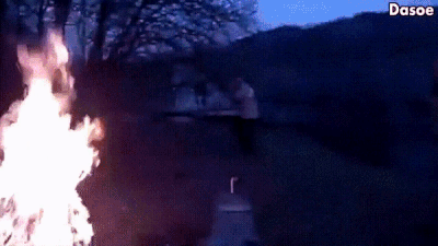 Возможные номинанты на премию Дарвина (30 гифок)