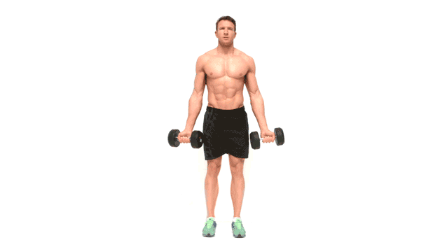 http://assets.menshealth.co.uk/main/assets/bicepcurl.gif?mtime=1429703015