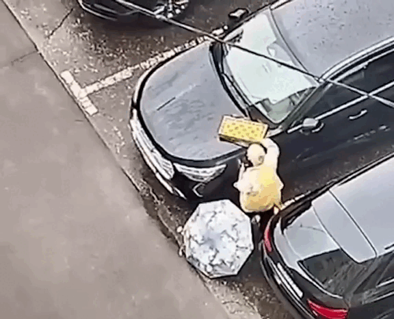 Видео: соцсети