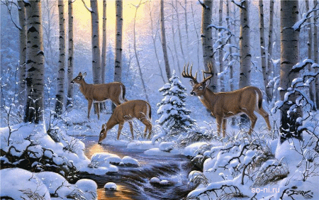 анимация олени в зимнем лесу, анимация ручья