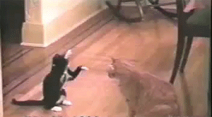 Блоги. Сплошное зверство 4