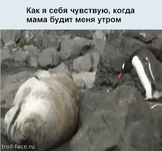 Блоги. Жизненные ситуации в подборке гифок Блоги. Жизненные ситуации в подборке гифок