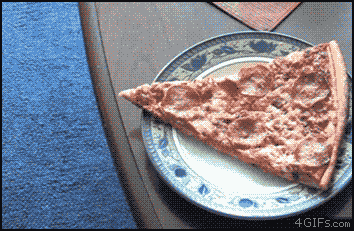 source: imgur.com Животные воришки