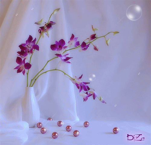 Картинка 127 из 31536