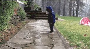 Прикольные гифки